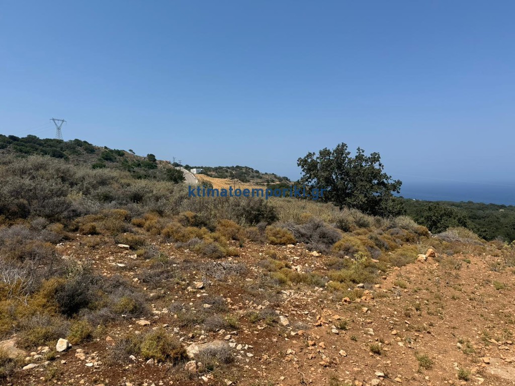 Αγροτεμάχια 21.000 τ.μ. πρός πώληση, Ν. Ρεθύμνου, Νικηφόρος Φωκάς