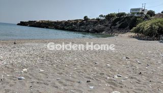 Οικόπεδο 14.000 τ.μ. για πώληση