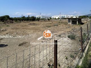 Οικόπεδο 2.248 τ.μ. για πώληση, Αχαΐα, Μεσσατίδα-thumb-9