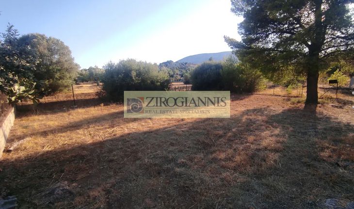 Οικόπεδο 206 τ.μ. για πώληση, Αθήνα - Ανατολικά Προάστια, Παιανία