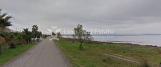 Αγροτεμάχια 720 τ.μ. για πώληση