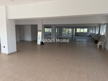 Office 180 sqm for rent