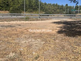 Οικόπεδο 8.000 τ.μ. για ενοικίαση, Φθιώτιδας, Μαλεσίνης-thumb-7