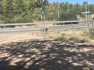 Οικόπεδο 8.000 τ.μ. για ενοικίαση, Φθιώτιδας, Μαλεσίνης-thumb-1