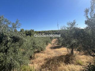Οικόπεδο 8.000 τ.μ. για ενοικίαση, Φθιώτιδας, Μαλεσίνης-thumb-8