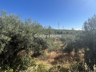 Οικόπεδο 8.000 τ.μ. για ενοικίαση, Φθιώτιδας, Μαλεσίνης-thumb-10