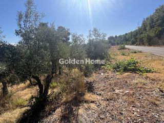 Οικόπεδο 8.000 τ.μ. για ενοικίαση, Φθιώτιδας, Μαλεσίνης-thumb-9