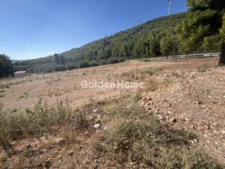 Οικόπεδο 8.000 τ.μ. για ενοικίαση, Φθιώτιδας, Μαλεσίνης-thumb-5