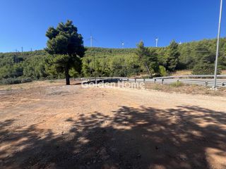 Οικόπεδο 8.000 τ.μ. για ενοικίαση, Φθιώτιδας, Μαλεσίνης-thumb-2
