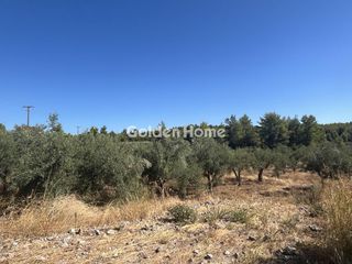 Οικόπεδο 8.000 τ.μ. για ενοικίαση, Φθιώτιδας, Μαλεσίνης-thumb-12
