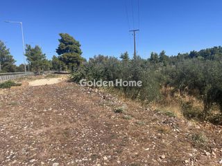 Οικόπεδο 8.000 τ.μ. για ενοικίαση, Φθιώτιδας, Μαλεσίνης-thumb-15
