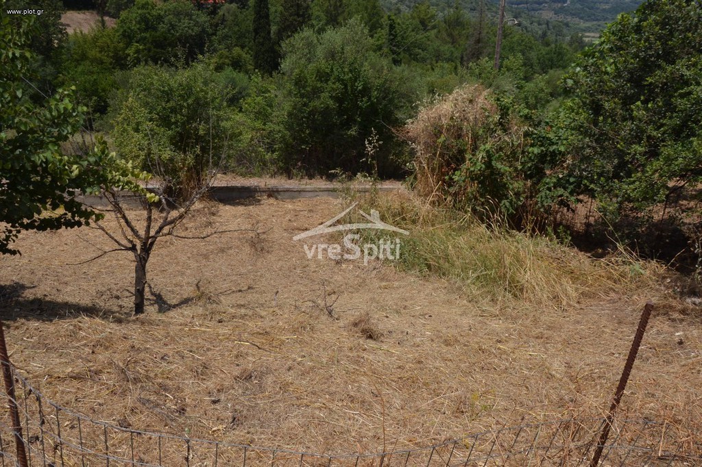 Οικόπεδο 1.782 τ.μ. προς πώληση, Θεσπρωτία, Ηγουμενίτσα