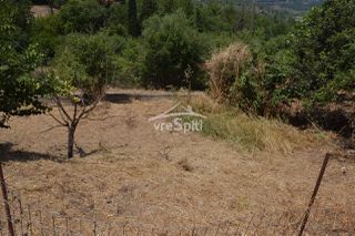 Οικόπεδο 1.782 τ.μ. για πώληση, Θεσπρωτία, Ηγουμενίτσα-thumb-1