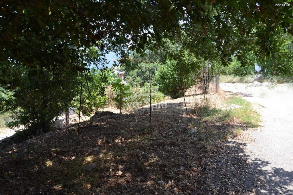 Οικόπεδο 1.782 τ.μ. προς πώληση, Θεσπρωτία, Ηγουμενίτσα