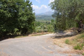 Οικόπεδο 1.782 τ.μ. για πώληση, Θεσπρωτία, Ηγουμενίτσα-thumb-5