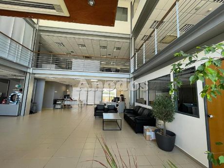 Business bulding 1.092sqm for sale-Acharnes » Thrakomakedones