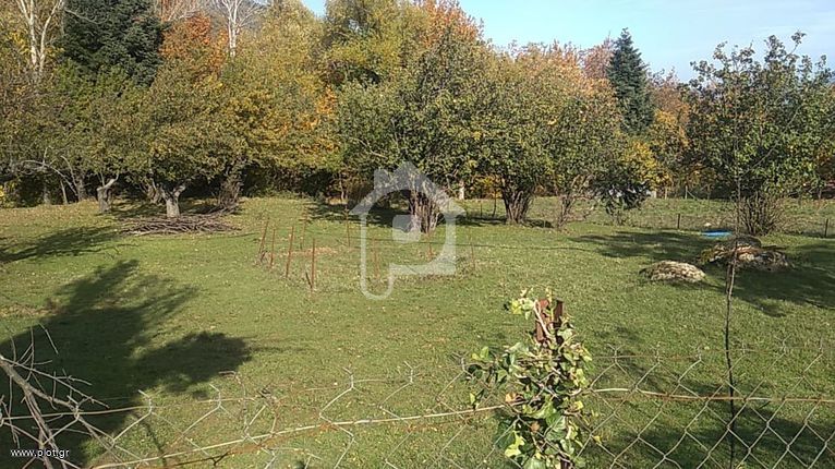 Οικόπεδο 1.215 τ.μ. για πώληση, Φθιώτιδας, Παύλιανη