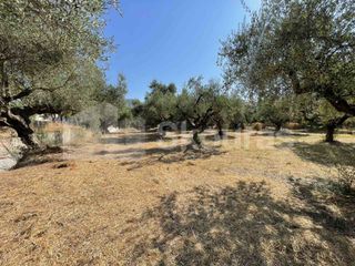 Οικόπεδο 2.120 τ.μ. για πώληση, Μεσσηνία, Καλαμάτα-thumb-17