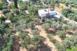 Οικόπεδο 2.120 τ.μ. για πώληση, Μεσσηνία, Καλαμάτα-thumb-6
