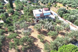 Οικόπεδο 2.120 τ.μ. για πώληση, Μεσσηνία, Καλαμάτα-thumb-5