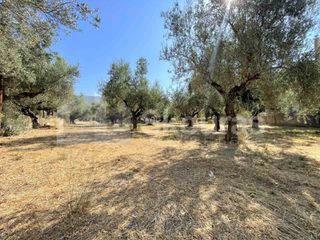 Οικόπεδο 2.120 τ.μ. για πώληση, Μεσσηνία, Καλαμάτα-thumb-29