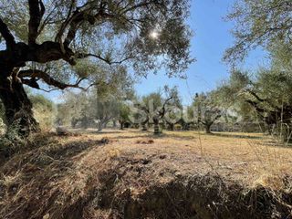 Οικόπεδο 2.120 τ.μ. για πώληση, Μεσσηνία, Καλαμάτα-thumb-16