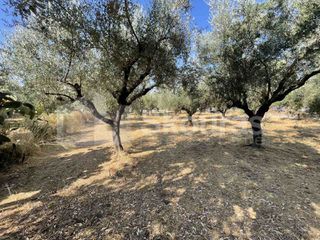 Οικόπεδο 2.120 τ.μ. για πώληση, Μεσσηνία, Καλαμάτα-thumb-21