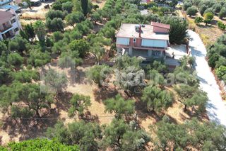 Οικόπεδο 2.120 τ.μ. για πώληση, Μεσσηνία, Καλαμάτα-thumb-4