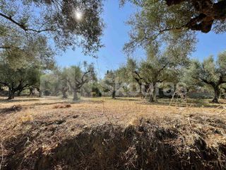 Οικόπεδο 2.120 τ.μ. για πώληση, Μεσσηνία, Καλαμάτα-thumb-15