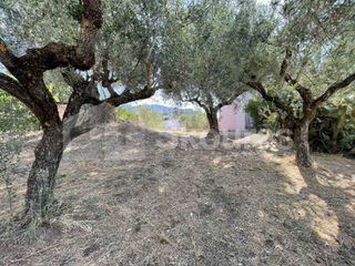 Οικόπεδο 2.120 τ.μ. για πώληση, Μεσσηνία, Καλαμάτα-thumb-22