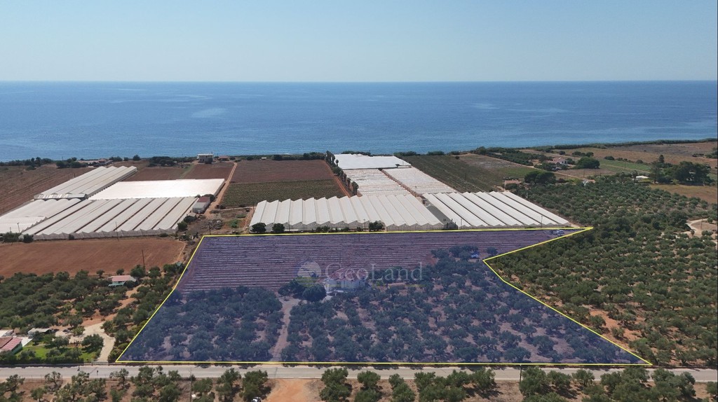 Βίλλα 243 τ.μ. πρός πώληση, Μεσσηνία, Φιλιατρά