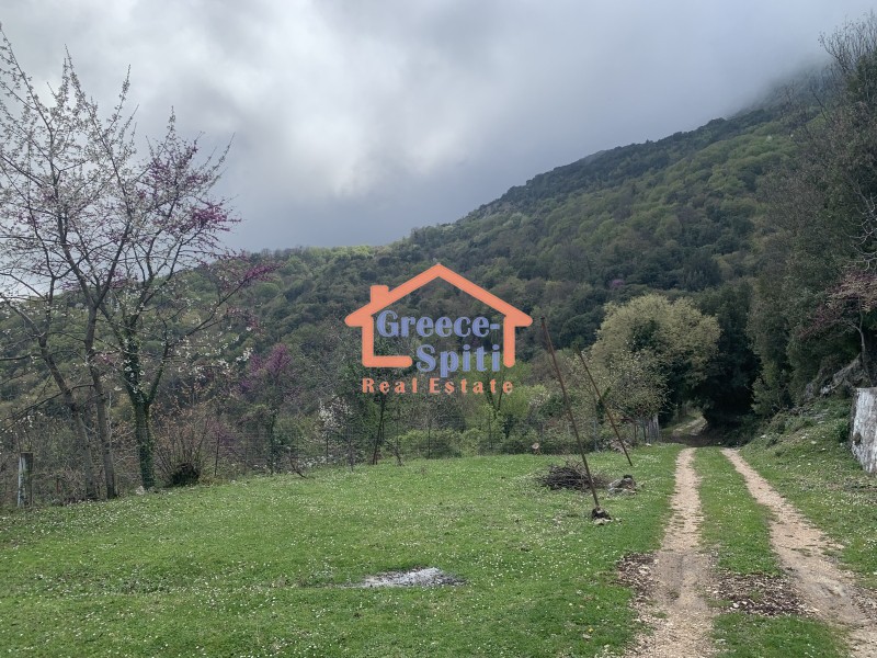 Μονοκατοικία 108 τ.μ. πρός πώληση, Ν. Άρτας, Ξηροβούνι