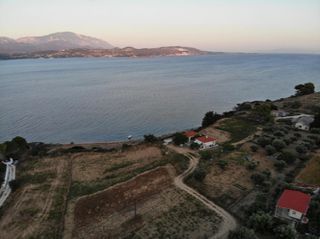 Αγροτεμάχια 12.805 τ.μ. για πώληση
