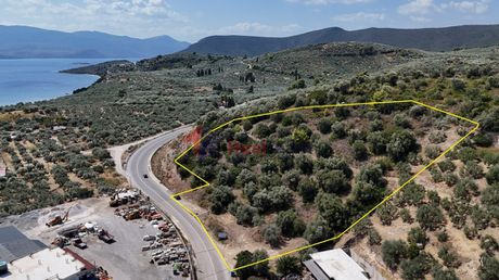 Αγροτεμάχια 7.080τ.μ. για πώληση-Πελασγία