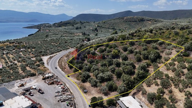 Parcel 7.080 sqm for sale, Phthiotis, Pelasgia