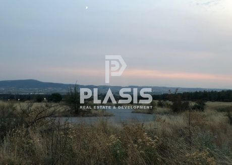 Οικόπεδο 400τ.μ. για πώληση-Θέρμη » Βασιλικά