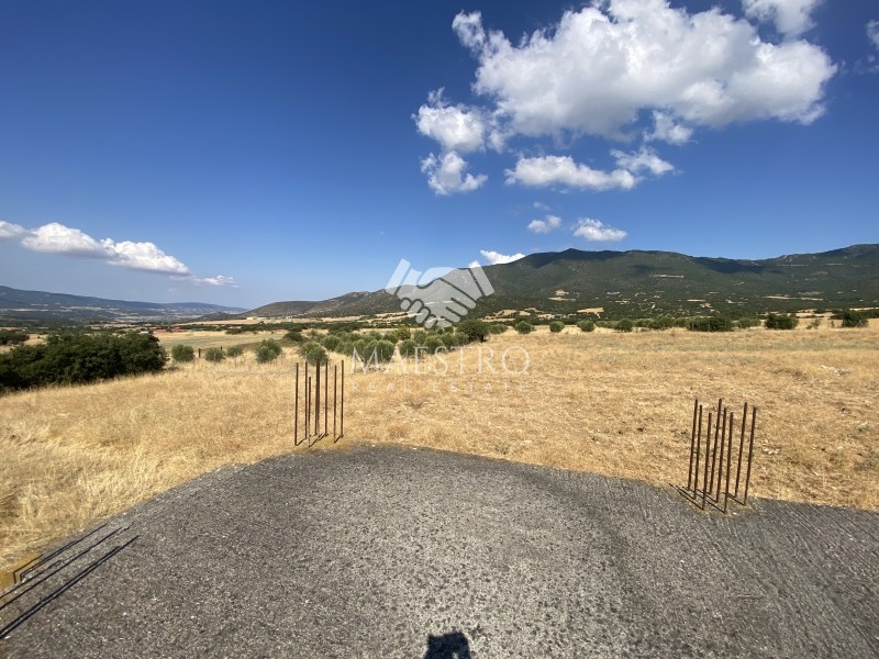 Αγροτεμάχια 5.800 τ.μ. πρός πώληση, Χαλκιδική, Ανθεμούντας