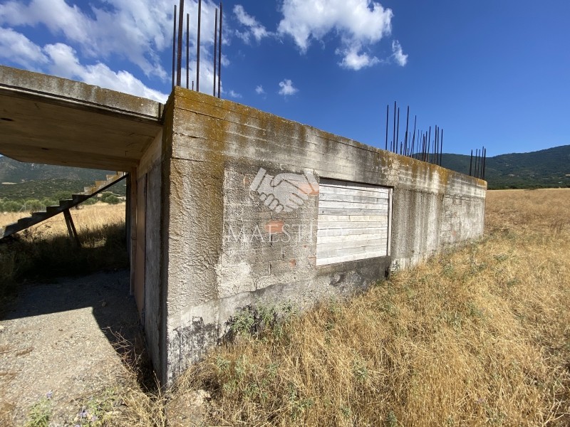 Αγροτεμάχια 5.800 τ.μ. πρός πώληση, Χαλκιδική, Ανθεμούντας