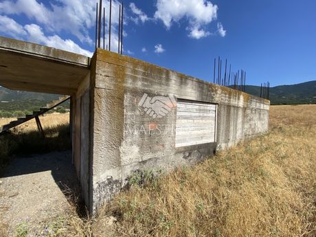 Αγροτεμάχια 5.800 τ.μ. πρός πώληση