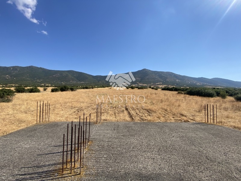 Αγροτεμάχια 5.800 τ.μ. πρός πώληση, Χαλκιδική, Ανθεμούντας