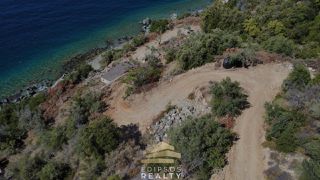 Οικόπεδο 8.000 τ.μ. για πώληση, Εύβοια, Αιδηψός-thumb-3