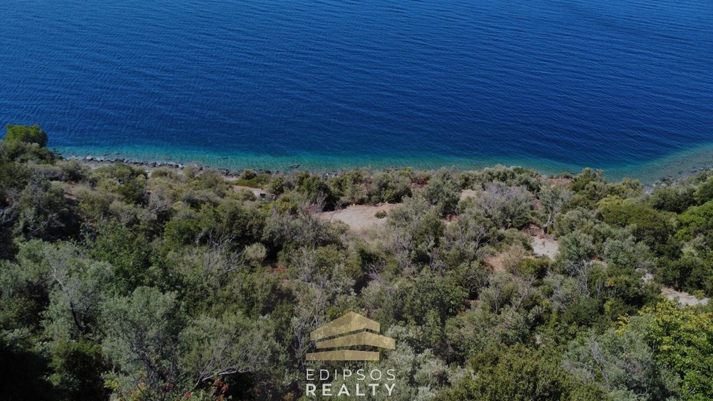 Οικόπεδο 8.000 τ.μ. προς πώληση, Αιδηψός