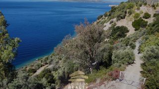 Οικόπεδο 8.000 τ.μ. για πώληση, Εύβοια, Αιδηψός-thumb-6