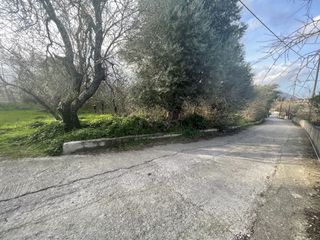 Οικόπεδο 2.243,31 τ.μ. για πώληση