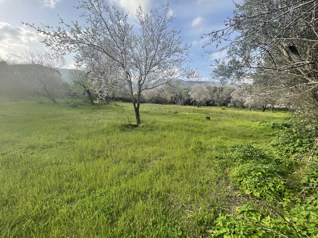 Οικόπεδο 2.243,31 τ.μ. προς πώληση, Πόλη Χίου