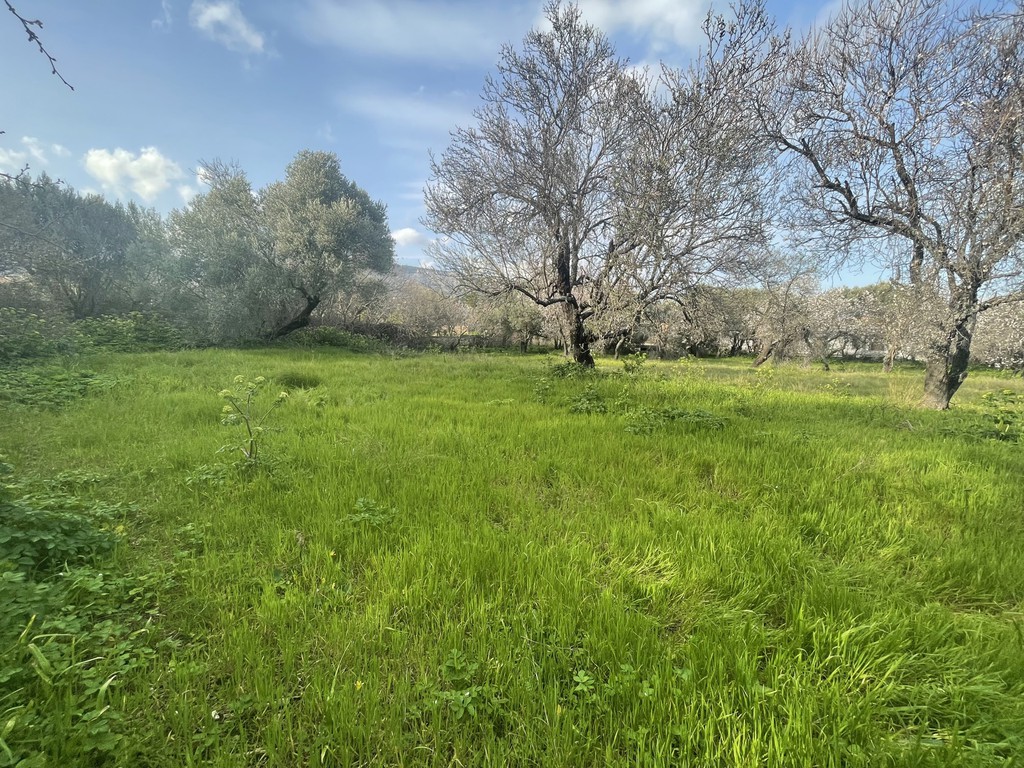 Οικόπεδο 2.243,31 τ.μ. προς πώληση, Πόλη Χίου