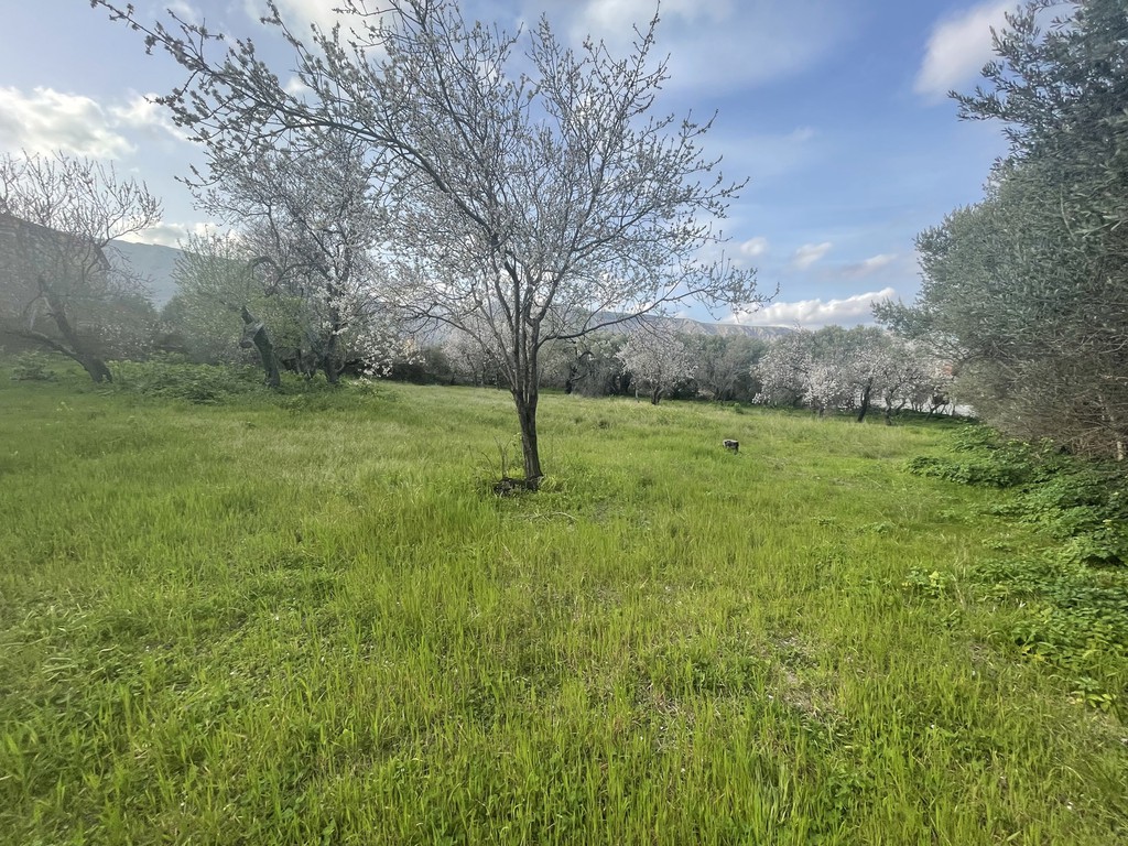 Οικόπεδο 2.243,31 τ.μ. προς πώληση, Πόλη Χίου