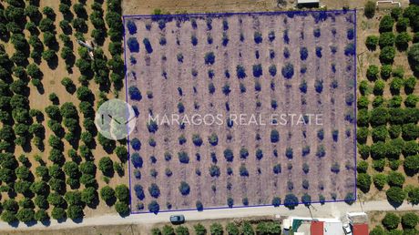 Parcel 3.854sqm for sale-Argos » Inachos