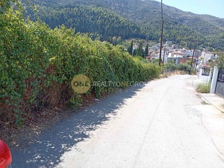 Parcel 10.900sqm for sale-Atalanti » Skala