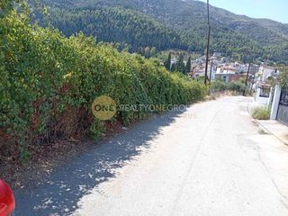 Αγροτεμάχια 10.900 τ.μ. για πώληση